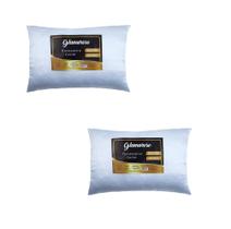Kit 2 Travesseiros Cetim Antifrizz 50x70 Pluma Ganso Macio Luxo