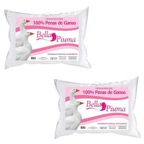 Kit 2 Travesseiros de Penas Naturais