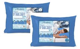 Kit 2 Travesseiros Fresh Ice 50x70cm Altenburg