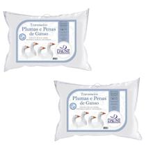 Kit 2 Travesseiros Para Hotelaria - Penas e Plumas Kit 2 Travesseiros Para Hotelaria - Penas e Plumas