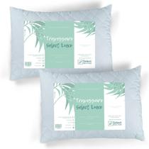 Kit 2 Travesseiros Select Fibras Luxo Antialérgica Macio