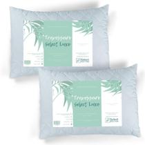 Kit 2 Travesseiros Select Luxo Fibras Importada E Antialérgica 50x70cm Lavável - Trp Imports