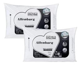 Kit 2 Travesseiros Suporte Extra Firme Altenburg