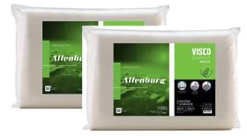 Kit 2 Travesseiros Viscoelástico Médio Altenburg