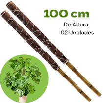 Kit 2 Tutor Para Plantas Trepadeiras 100cm Estaca Fibra de Coco