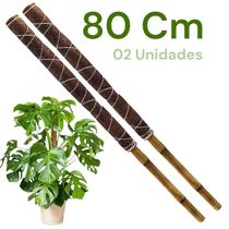 Kit 2 Tutor Planta Trepadeira Grande Bambu Fibra de Coco Jiboia Costela De Adão 80 Cm