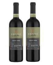 Kit 2 Un Vinho Amitié Colheitas Blend 750 ml