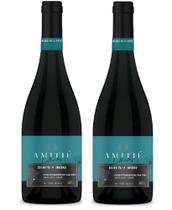 Kit 2 Un Vinho Amitié Colheitas Shiraz 750 ml