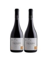 Kit 2 Un Vinho Casa Valduga Terroir Exclusivo Syrah Viognier 750 ml