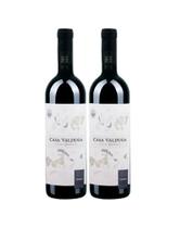 KIt 2 Un Vinho Casa Valduga Terroir Exclusivo Tannat 750 ml