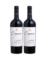 Kit 2 Un Vinho Larentis Cepas Selecionadas Ancellotta 750 ml