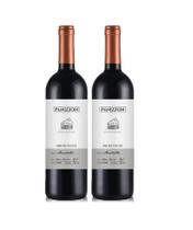 Kit 2 Un Vinho Panizzon Ancellotta 750 ml