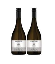 Kit 2 Un Vinho Panizzon Sauvignon Blanc 750 ml