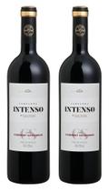 Kit 2 Un Vinho Salton Intenso Cabernet Sauvignon 750 ml Kit 2 Un Vinho Salton Intenso Cabernet Sauvignon 750 ml