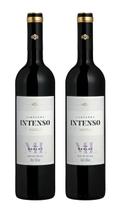 Kit 2 Un Vinho Salton Intenso Merlot 750 ml Kit 2 Un Vinho Salton Intenso Merlot 750 ml
