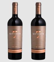 Kit 2 Un Vinho Salton Septimum 750 ml Kit 2 Un Vinho Salton Septimum 750 ml