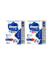 Kit 2 Un Zinqua Bio Kids Zinco Suplemento Alimentar Airela 100 ml
