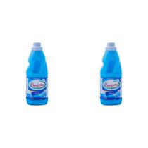 Kit 2 Und Desinfetante Líquido Campestre Azul Limpa Perfuma 1l