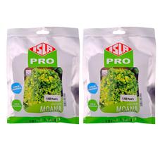 Kit 2 Unid Alface Crespa Moana isla 1000 Sementes Peletizadas Volumosa Kit 2 Unid Alface Crespa Moana isla 1000 Sementes Peletizadas Volumosa
