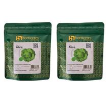 Kit 2 Unidades Sementes Peletizadas Alface Americana Alta Versatilidade Kit 2 Unidades Sementes Peletizadas Alface Americana Alta Versatilidade