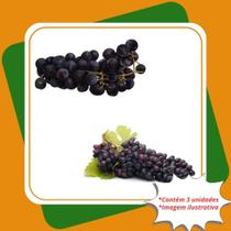 Kit 2 Uva Isabel 1 Uva Carmem Enxertada