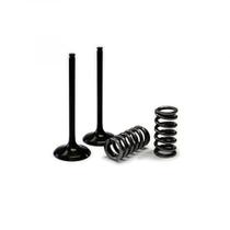 Kit 2 valvula admissão + 2 molas prox yzf250 14/18 yzfx250 15/18 wrf250 15/18