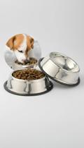Kit 2 Vasilhas Inox Pet 300ml Antiderrapante Kit 2 Vasilhas Inox Pet 300ml Antiderrapante