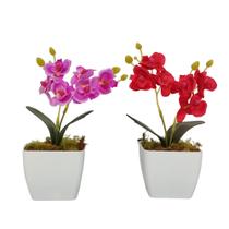 Kit 2 Vasinhos Mini Orquídea Artificial Decorativo Vaso