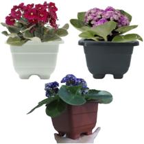 Kit 2 Vasinhos Violeta e Kalanchoe / Cachepô quadrado - Vaso de Planta - RL