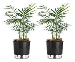 Kit 2 Vaso Auto Irrigável N 02 Planta Flor Terrazzo Raiz - Cores