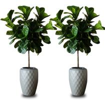 Kit 2 Vaso de Planta Luxo 12 litros Diamante Alto Resistente cor Cimento Plastico Pequeno Jardim