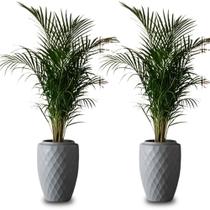 Kit 2 Vaso de Planta Luxo 23 litros Diamante Alto Resistente cor Cimento Plastico Pequeno Jardim