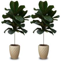 Kit 2 Vaso de Planta Luxo 6 litros Diamante Alto Resistente cor Areia Plastico Pequeno Jardim