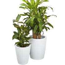 Kit 2 Vaso De Polietileno Planta Decoração Jardim Flor CD60