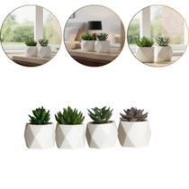 Kit 2 Vaso de Suculentas Artificiais Plantas de Decoração