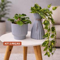 Kit 2 Vasos 2 Plantas Jiboia E Mini Costela De Adao Decoração casa escritorio, ideal para mesas aparadores estantes e nichos