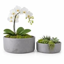 Kit 2 Vasos Bacia Linha Genebra Cachepot Para Decoração -