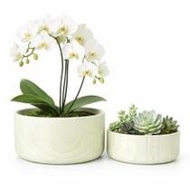 Kit 2 Vasos Bacia Linha Genebra Cachepot Para Decoração -