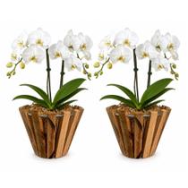 Kit 2 Vasos Cachepots Suspensos de Madeira para Orquídeas