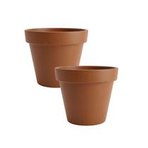 Kit 2 Vasos Cuia 15cm Baixo Para Orquídeas, Rosa Do Deserto E Suculentas