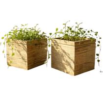 Kit 2 Vasos De Plantas Quadrado Cachepo Decorativo Reto 15CM Kit 2 Vasos De Plantas Quadrado Cachepo Decorativo Reto 15CM