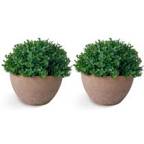 Kit 2 Vasos Decorativos Planta Artificial Estocasa Buxinho Realista Decoração Kit 2 Vasos Decorativos Planta Artificial Estocasa Buxinho Realista Decoração