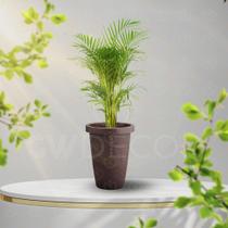 Kit 2 Vasos Redondo Café Marrom Extra Grande 32 Litros Em Plástico Reforçado Kit 2 Vasos Redondo Café Marrom Extra Grande 32 Litros Em Plástico Reforçado