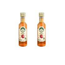 Kit 2 vinagre de maçã orgânico acidez 6% são francisco 250 ml