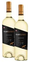 kit 2 Vinho Paso De Los Andes Sauvignon Blanc 750ml