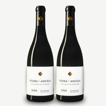 Kit 2 Vinho Tinto Seco Pedra Cancela Seleção do Enólogo 750ml Português Elegante Aromas de Frutas e Toque de Cacau Macio Equilibrado Encorpado Dão