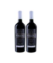 Kit 2 Vinho Tinto Seco Seleção Pérgola 1 L