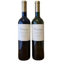 Kit 2 vinhos albarino tannat reserva v.c.p. mataojo uruguay