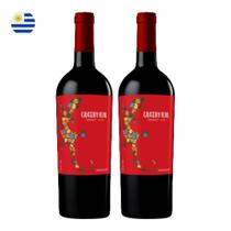 Kit 2 Vinhos BraccoBosca Lacertilla Tannat Tinto Uruguai 750ml