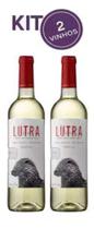 kit 2 Vinhos Branco Lutra regional Tejo p0rtugal 2020 750ml